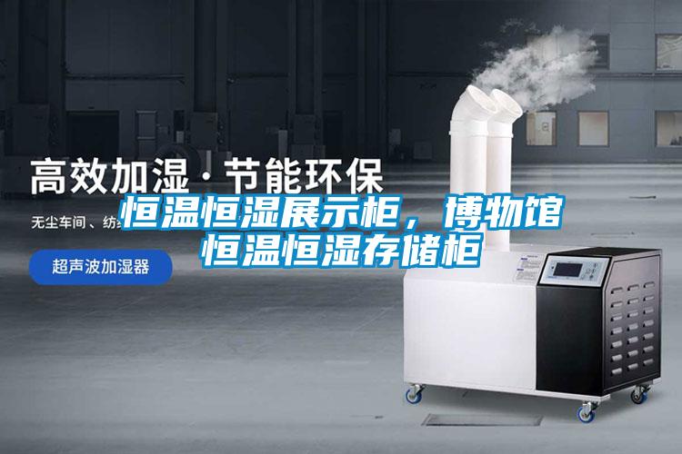 恒溫恒濕展示柜，博物館恒溫恒濕存儲(chǔ)柜