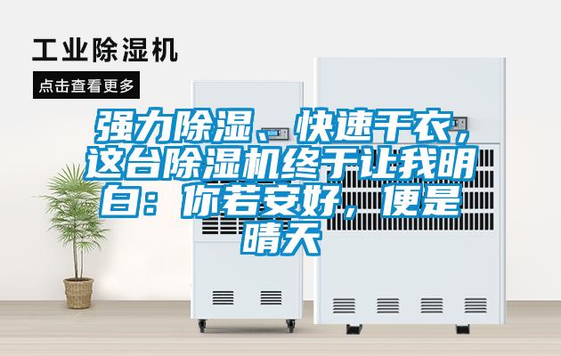 強(qiáng)力除濕、快速干衣，這臺除濕機(jī)終于讓我明白：你若安好，便是晴天