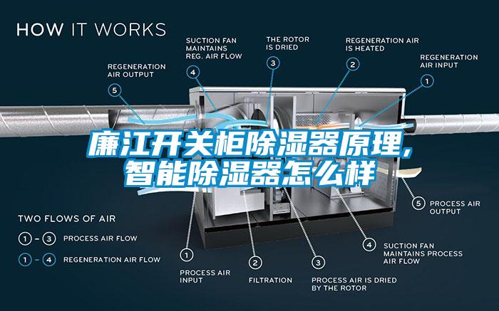 廉江開(kāi)關(guān)柜除濕器原理,智能除濕器怎么樣