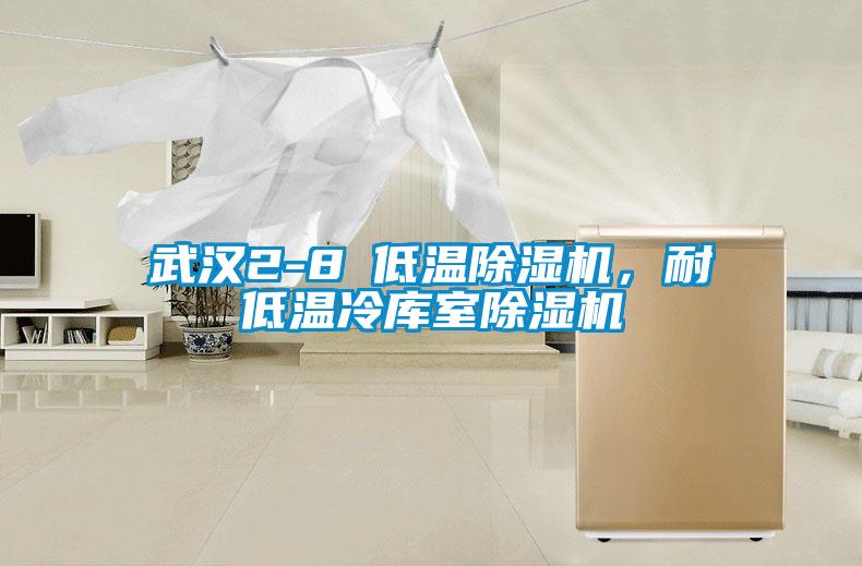 武漢2-8℃低溫除濕機(jī)，耐低溫冷庫(kù)室除濕機(jī)