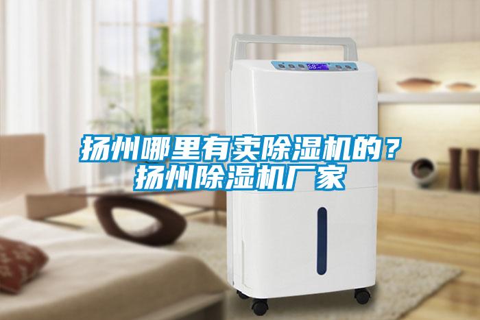 揚(yáng)州哪里有賣除濕機(jī)的？揚(yáng)州除濕機(jī)廠家