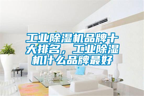 工業(yè)除濕機品牌十大排名，工業(yè)除濕機什么品牌最好