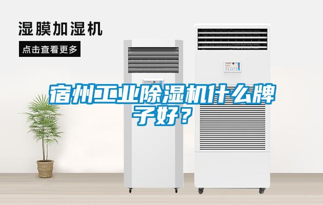 宿州工業(yè)除濕機(jī)什么牌子好？