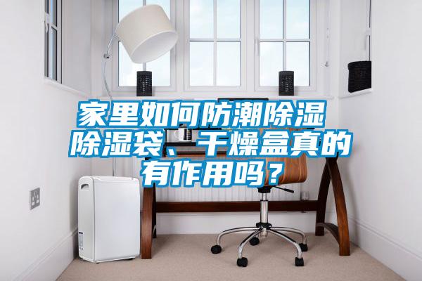 家里如何防潮除濕 除濕袋、干燥盒真的有作用嗎？