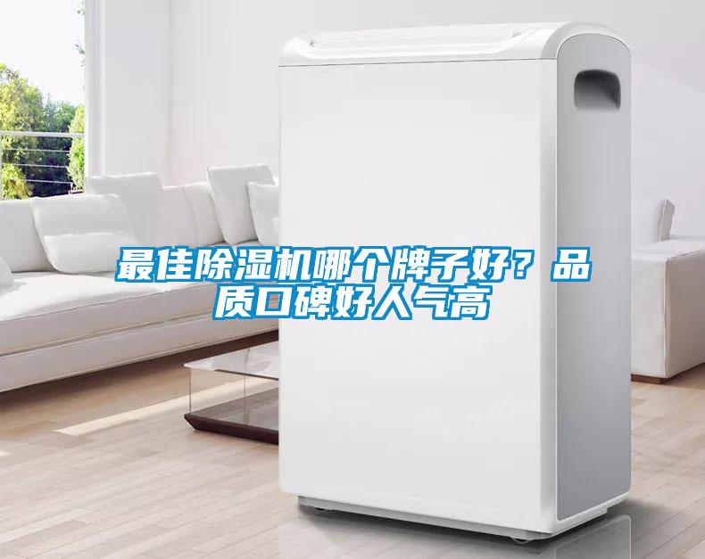 最佳除濕機(jī)哪個(gè)牌子好？品質(zhì)口碑好人氣高