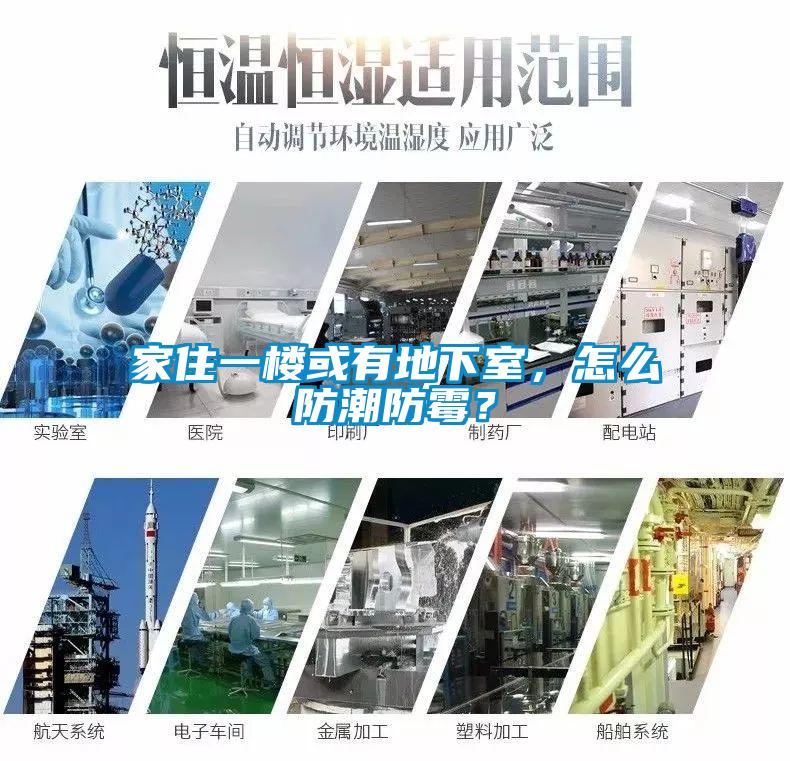 家住一樓或有地下室，怎么防潮防霉？