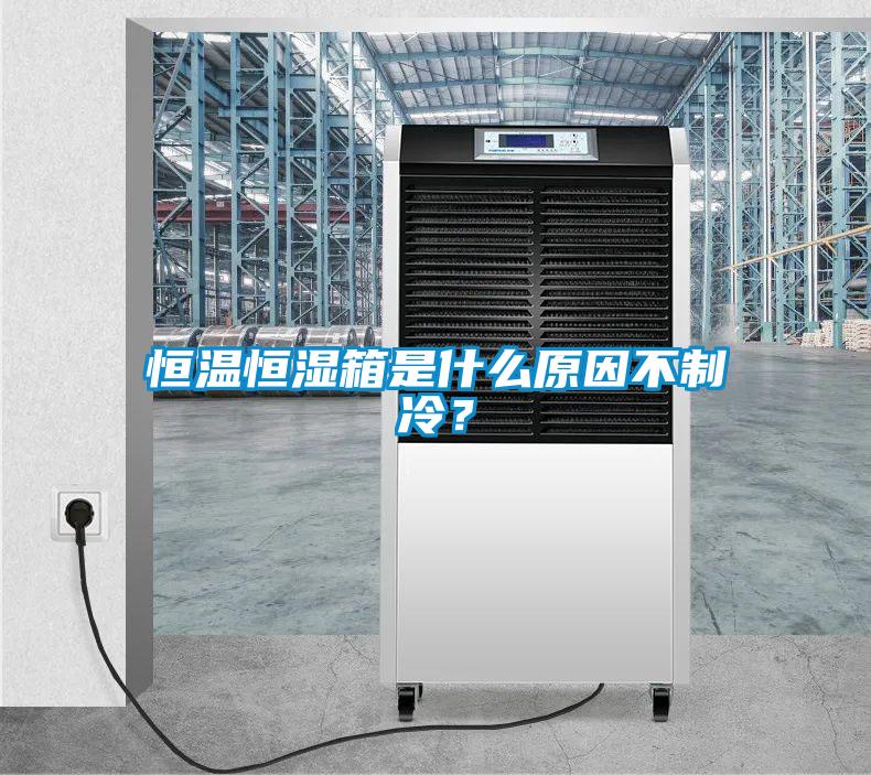 恒溫恒濕箱是什么原因不制冷？