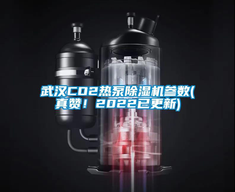 武漢CO2熱泵除濕機(jī)參數(shù)(真贊！2022已更新)
