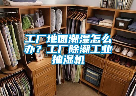 工廠地面潮濕怎么辦？工廠除潮工業(yè)抽濕機(jī)