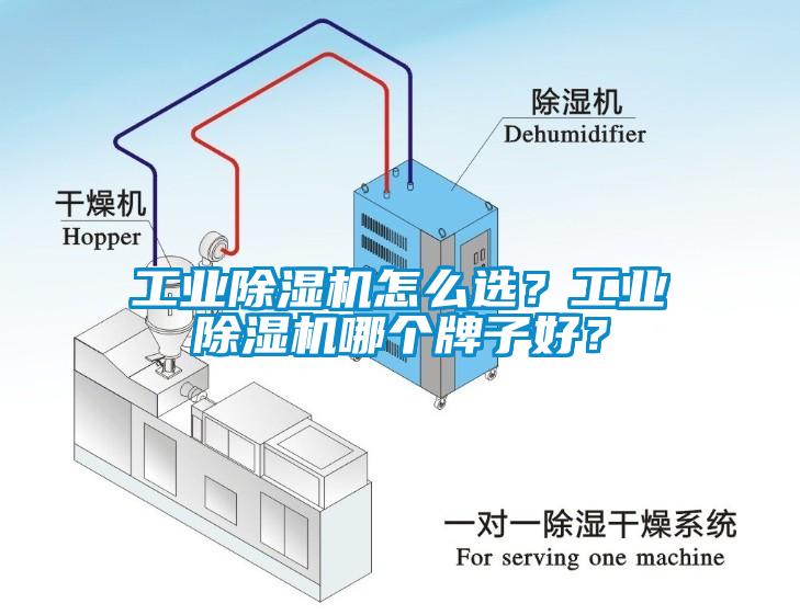 工業(yè)除濕機怎么選？工業(yè)除濕機哪個牌子好？