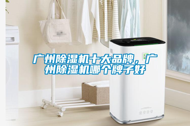 廣州除濕機(jī)十大品牌，廣州除濕機(jī)哪個牌子好
