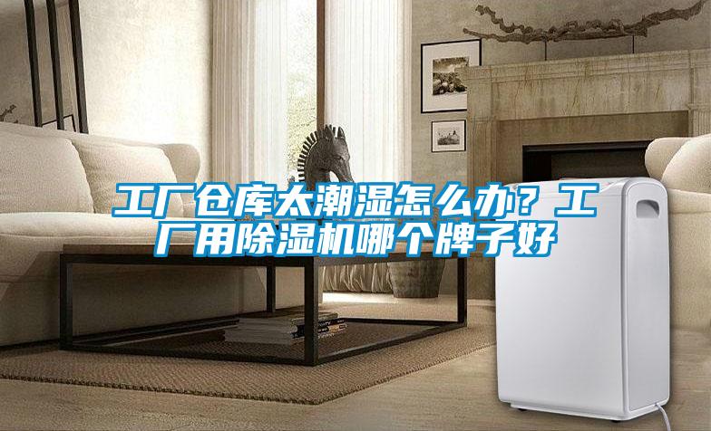 工廠倉庫太潮濕怎么辦？工廠用除濕機哪個牌子好