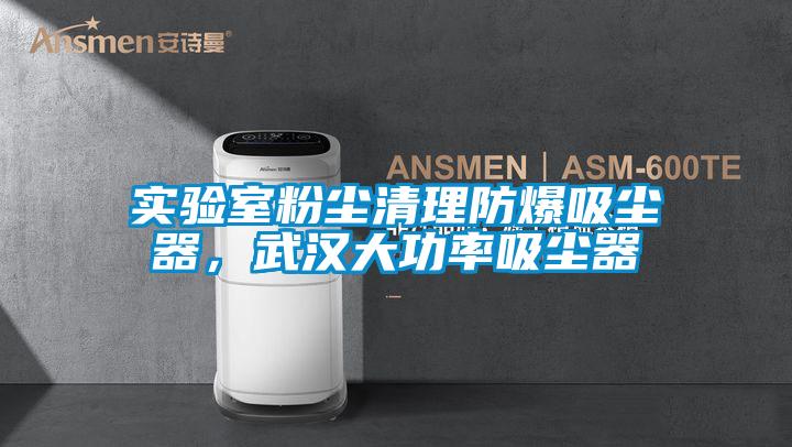 實驗室粉塵清理防爆吸塵器，武漢大功率吸塵器