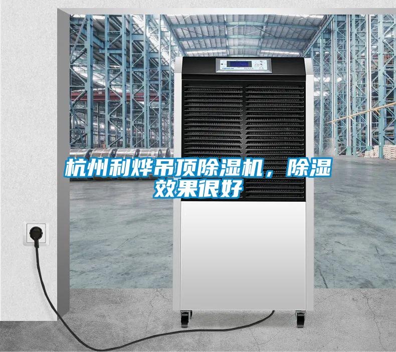 杭州利燁吊頂除濕機，除濕效果很好