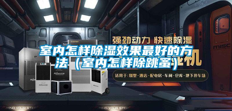 室內(nèi)怎樣除濕效果最好的方法（室內(nèi)怎樣除跳蚤）