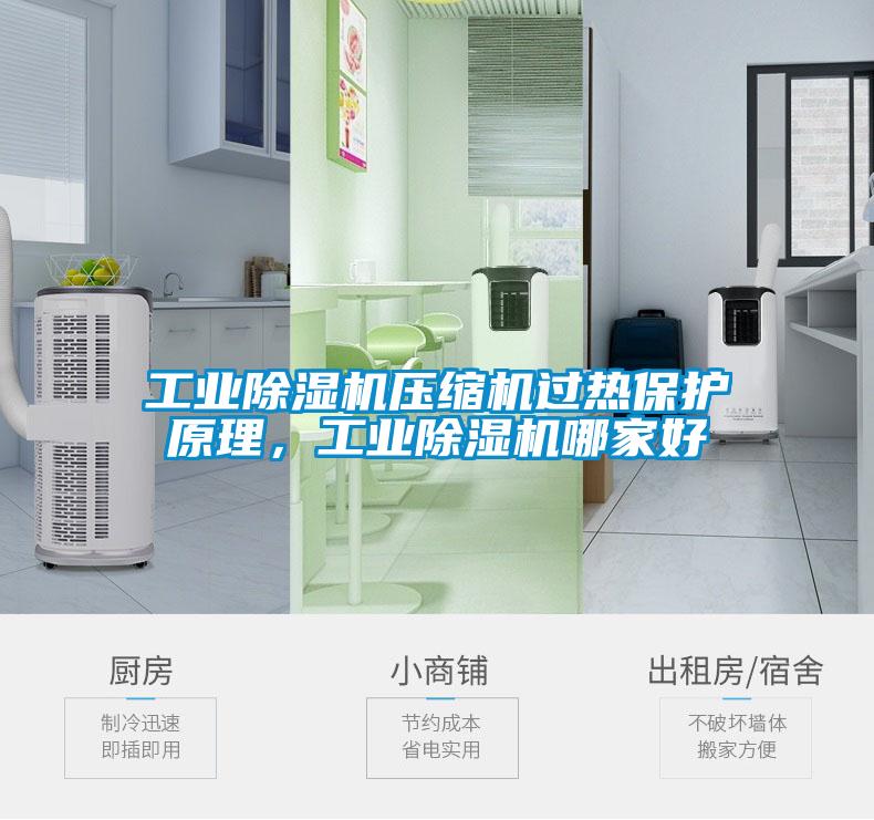 工業(yè)除濕機(jī)壓縮機(jī)過(guò)熱保護(hù)原理，工業(yè)除濕機(jī)哪家好