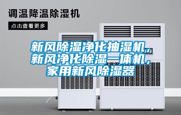 新風除濕凈化抽濕機，新風凈化除濕一體機，家用新風除濕器