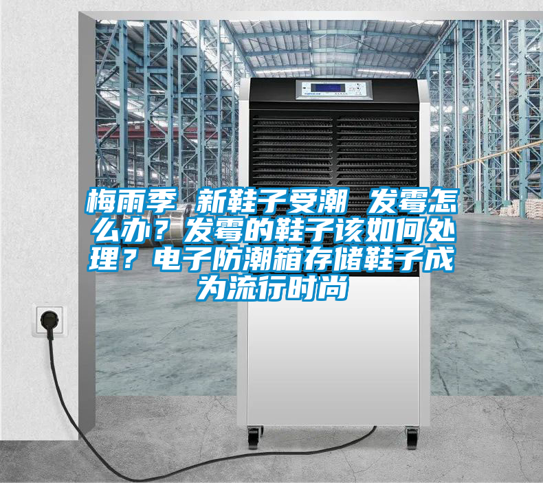 梅雨季 新鞋子受潮 發(fā)霉怎么辦？發(fā)霉的鞋子該如何處理？電子防潮箱存儲(chǔ)鞋子成為流行時(shí)尚