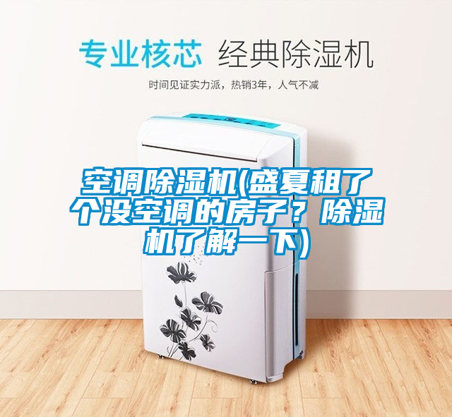 空調除濕機(盛夏租了個沒空調的房子？除濕機了解一下)
