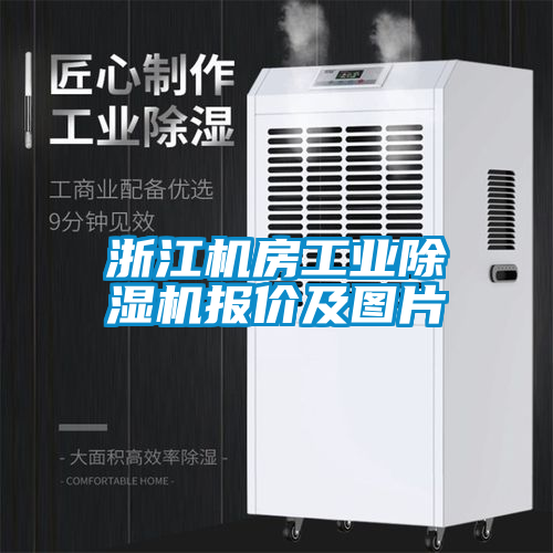 浙江機(jī)房工業(yè)除濕機(jī)報(bào)價及圖片
