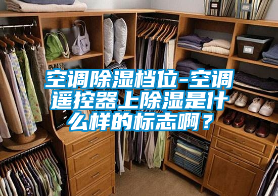 空調(diào)除濕檔位-空調(diào)遙控器上除濕是什么樣的標(biāo)志?。?/></p>
						    <p style=