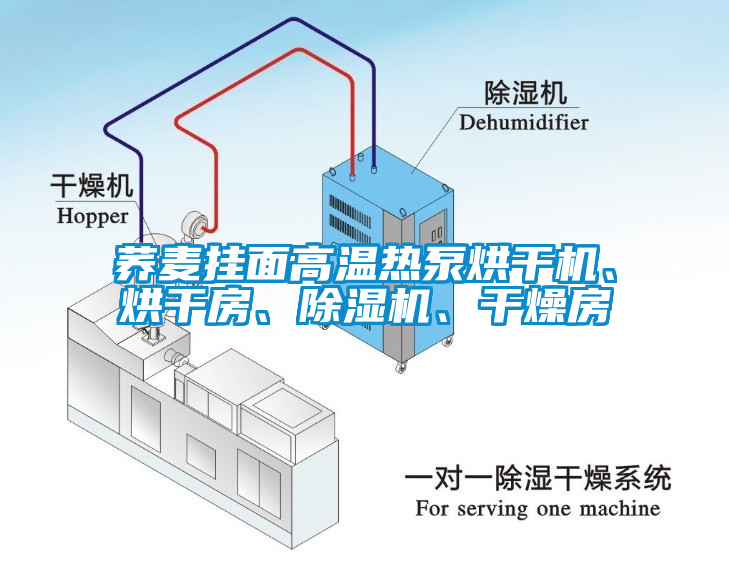 蕎麥掛面高溫?zé)岜煤娓蓹C(jī)、烘干房、除濕機(jī)、干燥房