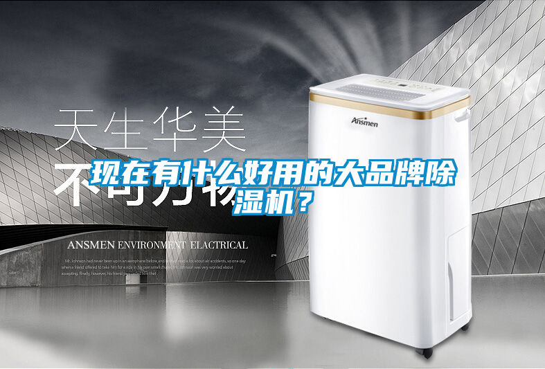 現(xiàn)在有什么好用的大品牌除濕機？