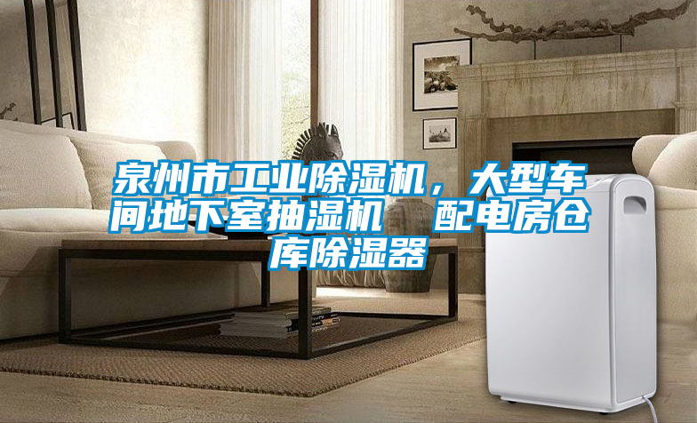 泉州市工業(yè)除濕機(jī)，大型車(chē)間地下室抽濕機(jī)  配電房倉(cāng)庫(kù)除濕器