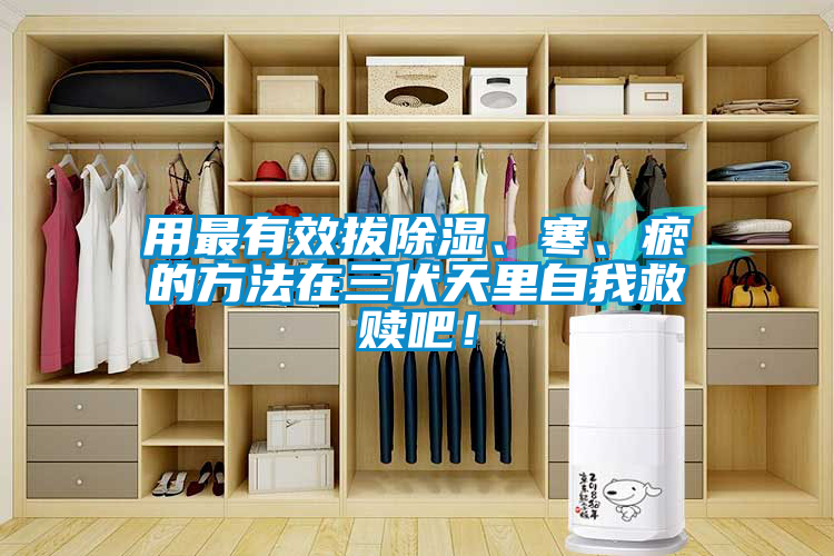 用最有效拔除濕、寒、瘀的方法在三伏天里自我救贖吧！