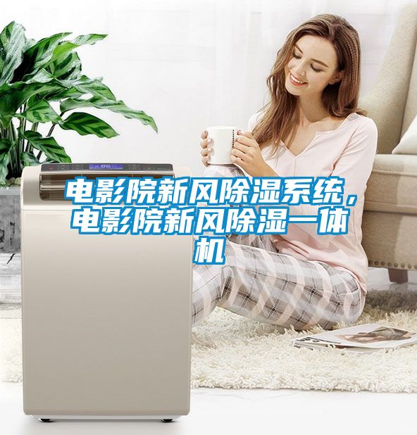 電影院新風除濕系統(tǒng)，電影院新風除濕一體機