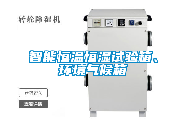智能恒溫恒濕試驗箱、環(huán)境氣候箱