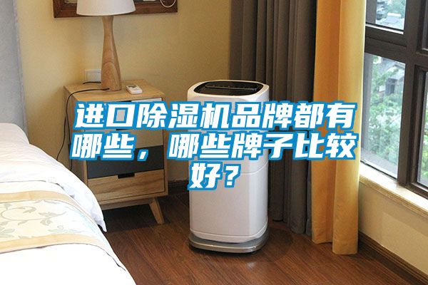 進(jìn)口除濕機(jī)品牌都有哪些，哪些牌子比較好？