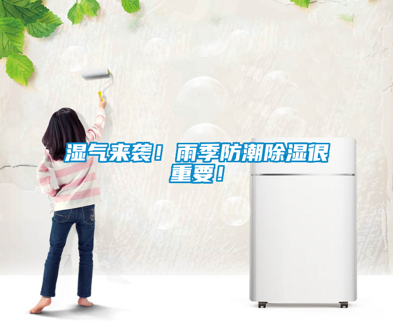 濕氣來襲！雨季防潮除濕很重要！