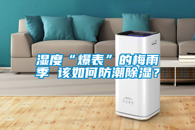 濕度“爆表”的梅雨季 該如何防潮除濕？