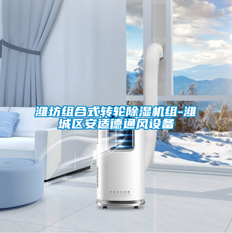 濰坊組合式轉(zhuǎn)輪除濕機組-濰城區(qū)安適德通風設備