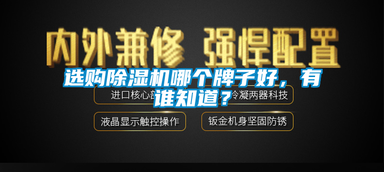 選購除濕機哪個牌子好，有誰知道？