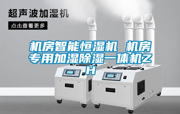 機(jī)房智能恒濕機(jī) 機(jī)房專用加濕除濕一體機(jī)ZH