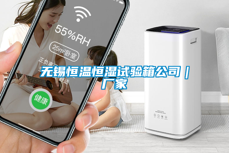 無(wú)錫恒溫恒濕試驗(yàn)箱公司｜廠家
