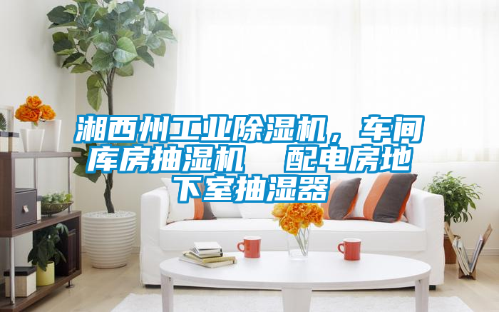 湘西州工業(yè)除濕機(jī)，車間庫(kù)房抽濕機(jī)  配電房地下室抽濕器