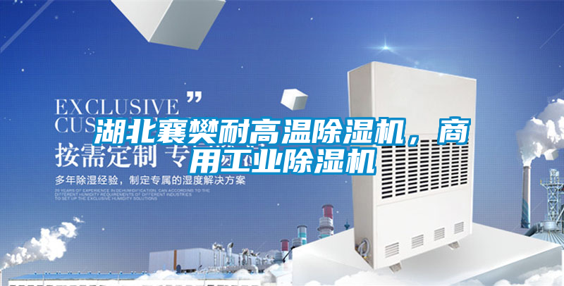 湖北襄樊耐高溫除濕機，商用工業(yè)除濕機