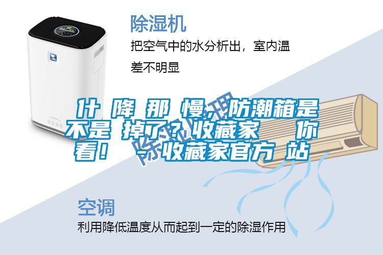 為什麼降濕那麼慢，防潮箱是不是壞掉了？收藏家實(shí)測(cè)給你看！ - 收藏家官方網(wǎng)站
