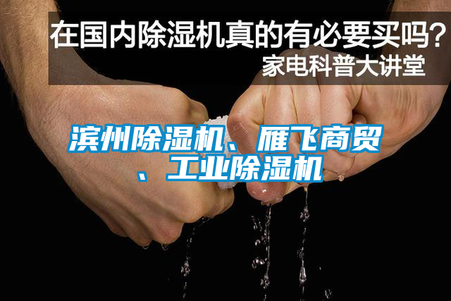 濱州除濕機、雁飛商貿(mào)、工業(yè)除濕機