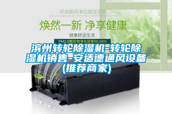 濱州轉(zhuǎn)輪除濕機-轉(zhuǎn)輪除濕機銷售-安適德通風設備(推薦商家)