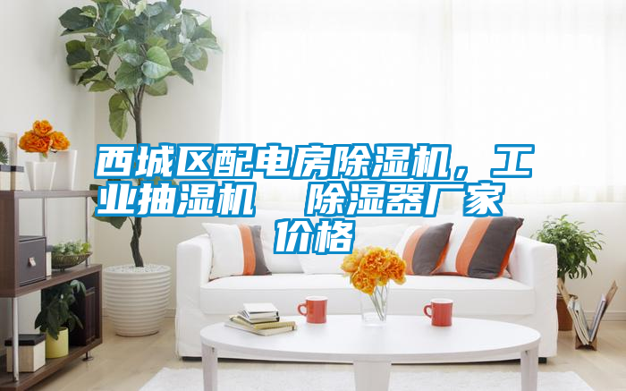 西城區(qū)配電房除濕機(jī)，工業(yè)抽濕機(jī)  除濕器廠家 價(jià)格