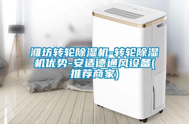 濰坊轉(zhuǎn)輪除濕機-轉(zhuǎn)輪除濕機優(yōu)勢-安適德通風設備(推薦商家)