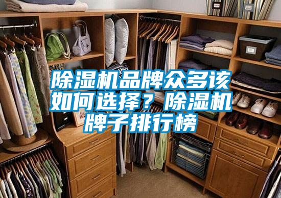除濕機品牌眾多該如何選擇？除濕機牌子排行榜