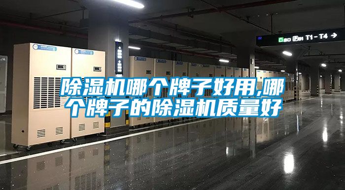 除濕機(jī)哪個(gè)牌子好用,哪個(gè)牌子的除濕機(jī)質(zhì)量好