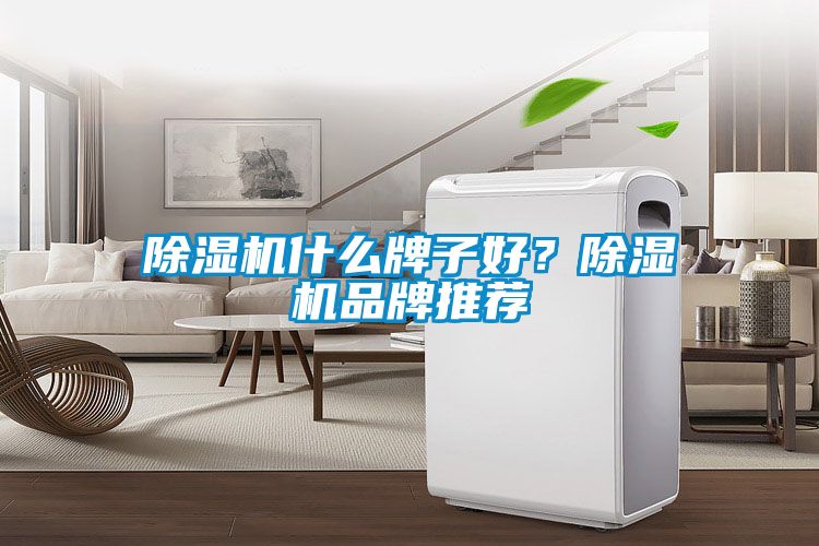 除濕機什么牌子好？除濕機品牌推薦