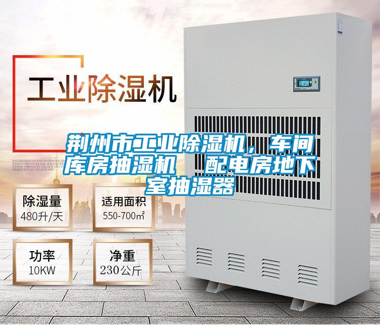 荊州市工業(yè)除濕機(jī)，車間庫房抽濕機(jī)  配電房地下室抽濕器