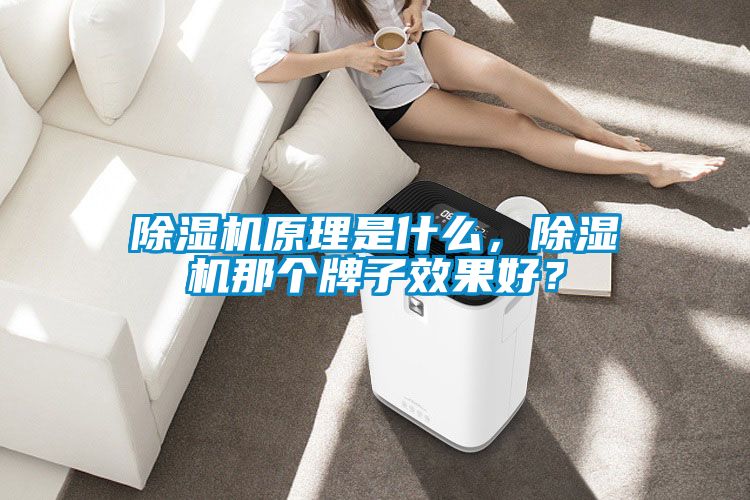 除濕機原理是什么，除濕機那個牌子效果好？